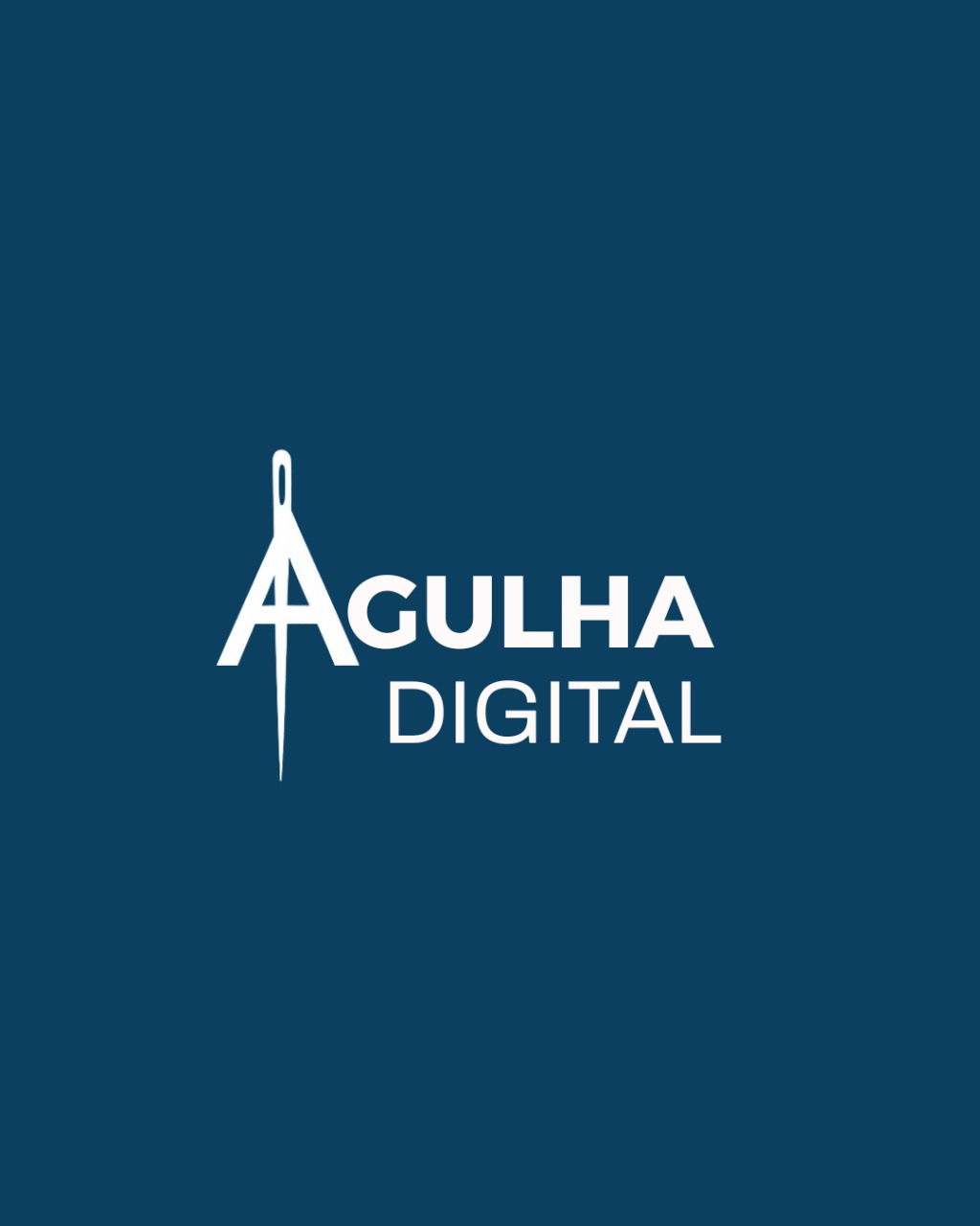 Agência Agulha Digital